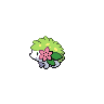 Icon/Sprite: Shaymin