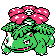 Icon/Sprite: Bisaflor