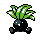 Icon/Sprite: Myrapla