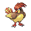 Icon/Sprite: Tauboga