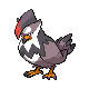 Icon/Sprite: Staraptor