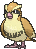 Icon/Sprite: Taubsi