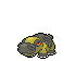 Icon/Sprite: Hippoterus