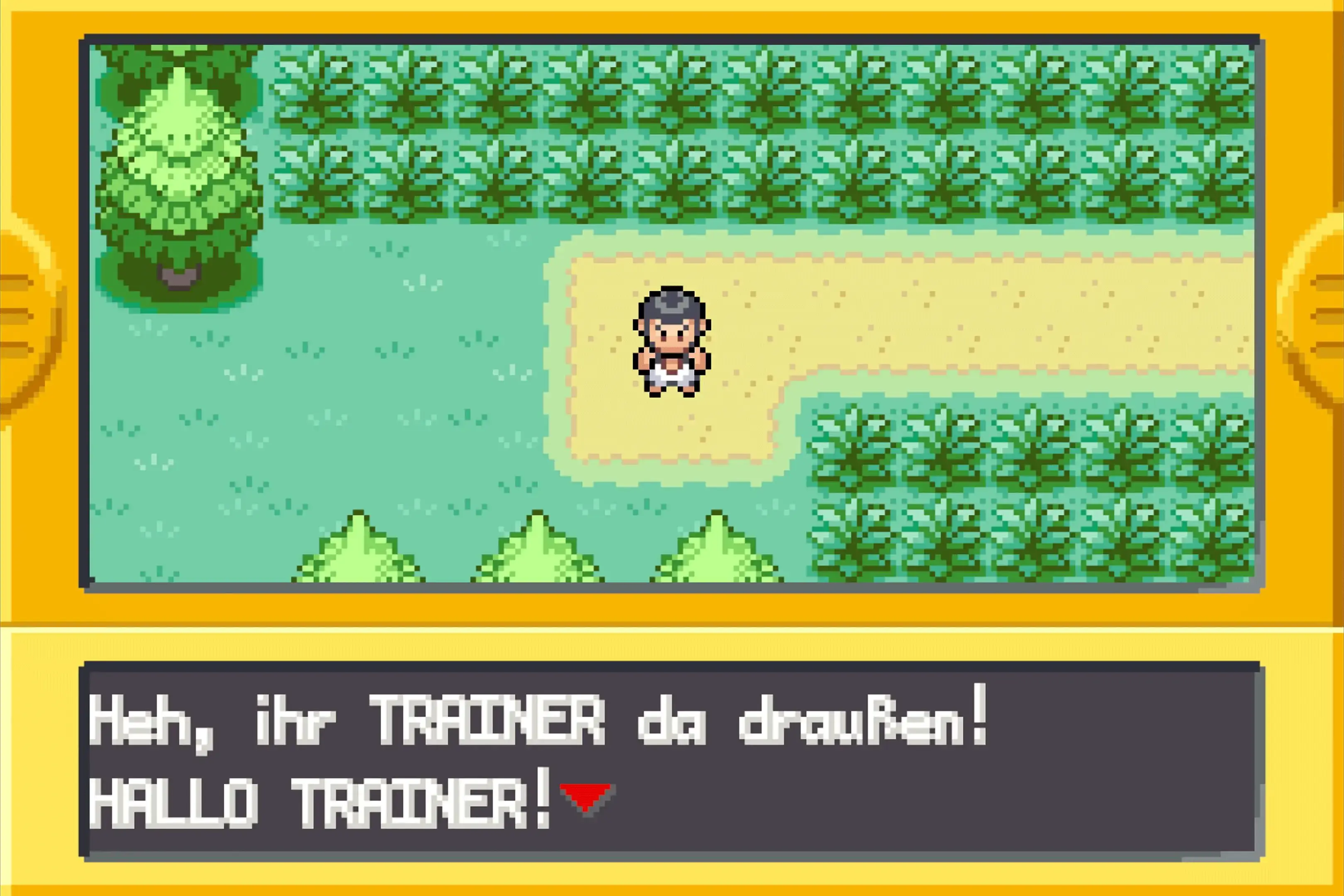 GBA-Spielansicht: Spielfigur steht auf einem Sandweg umgeben von Gras und Bäumen. Text: „Hallo Trainer!"